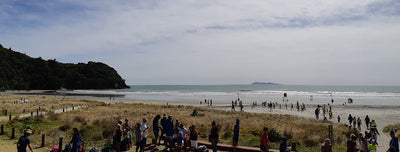 Waihi Beach Ocean Swimming Group - Bay of Plenty